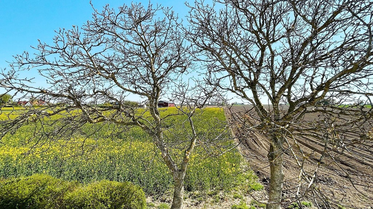 Photo of Outdoor in Skivarp