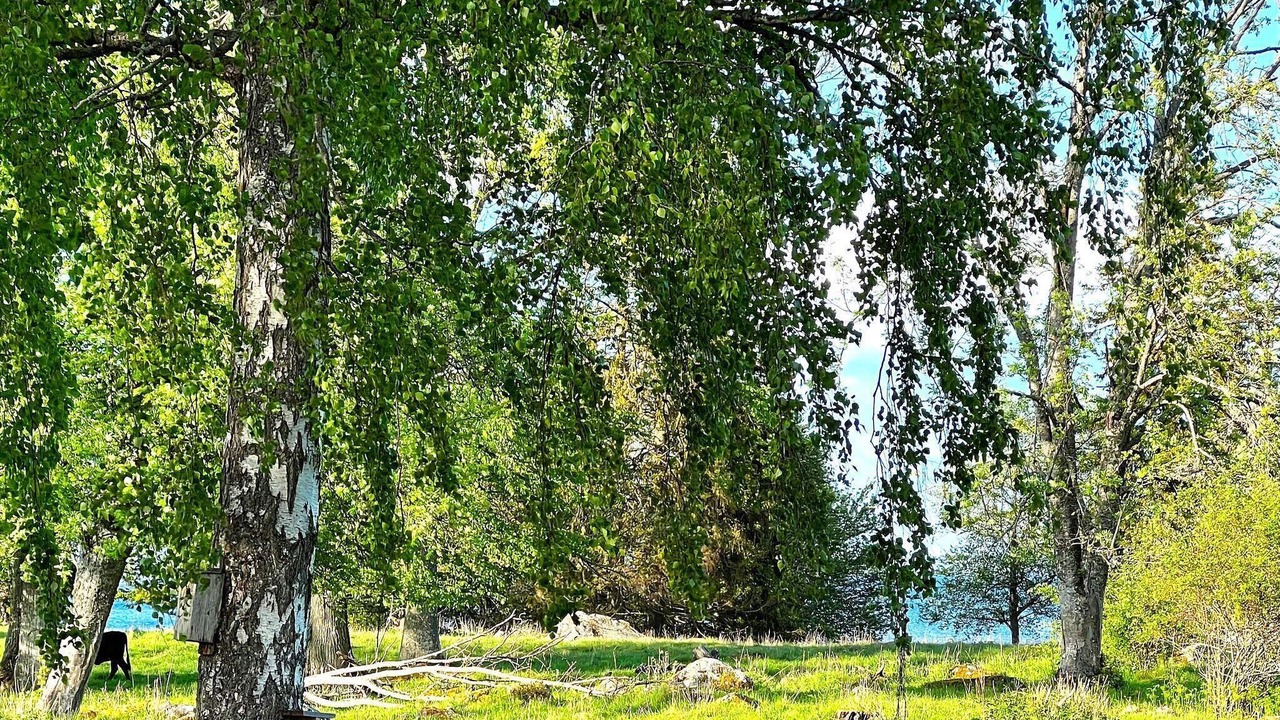 Photo of Outdoor in Hova