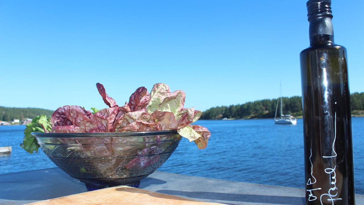 Photo of Others in Ulvohamn