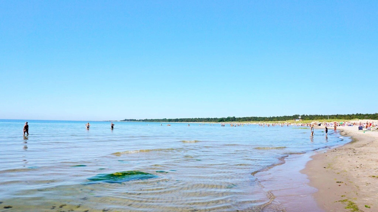 Photo of Others in Gotlands Tofta