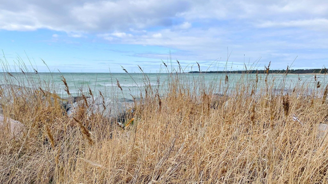 Photo of Others in Gotlands Tofta
