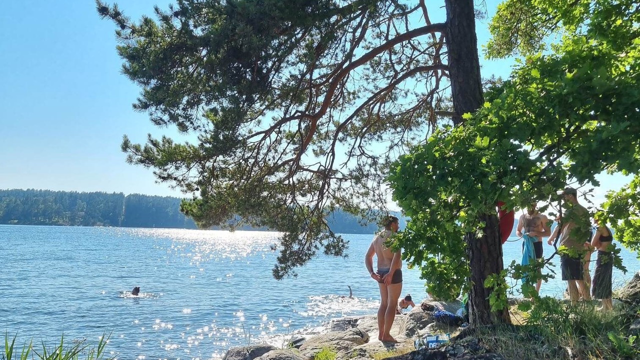 Photo of Others in Tyreso O