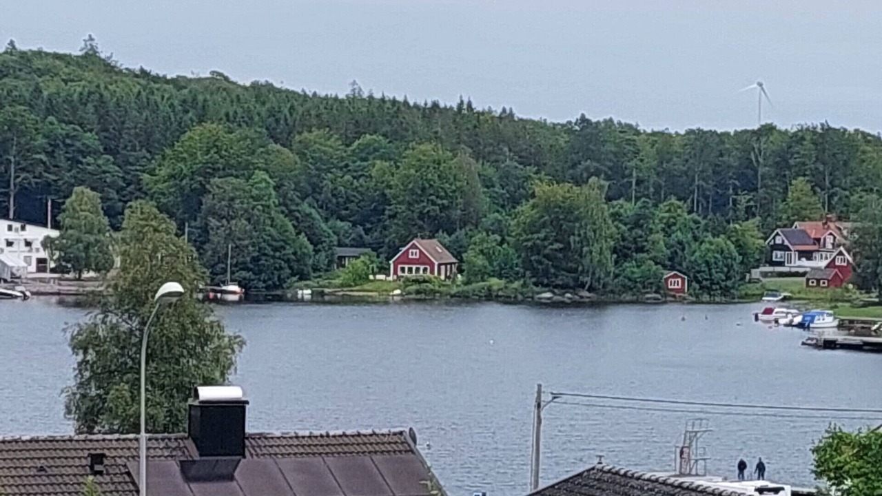 Photo of Others in Immeln