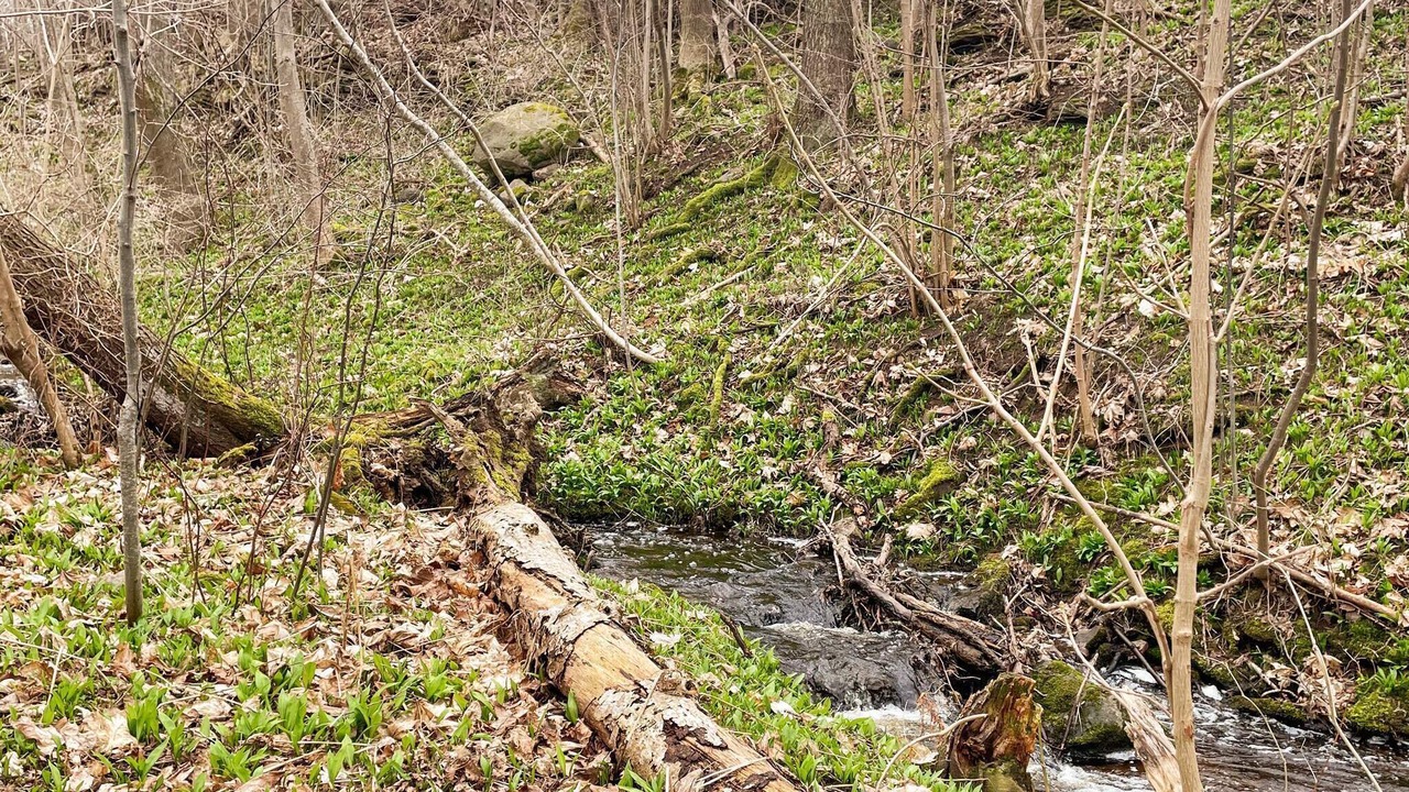 Photo of Outdoor in Granna
