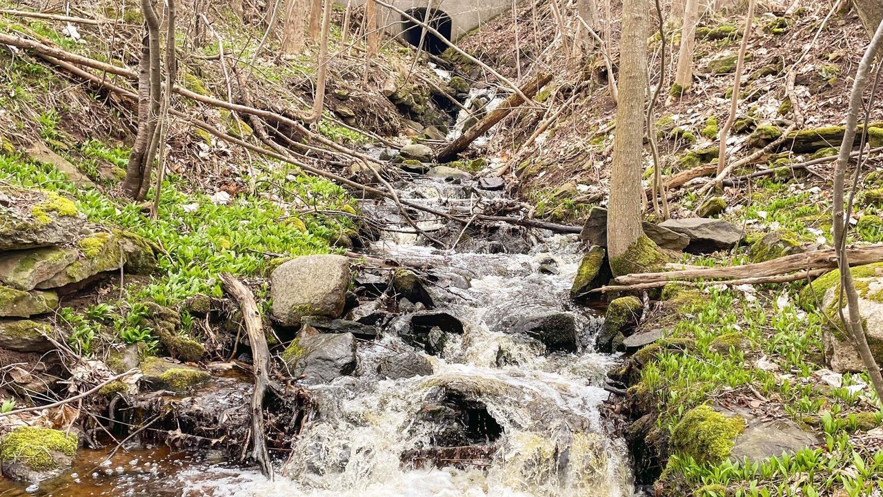 Photo of Outdoor in Granna