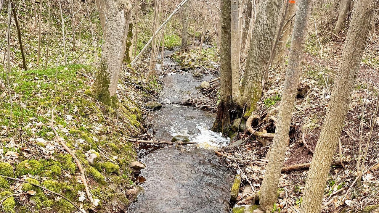 Photo of Outdoor in Granna