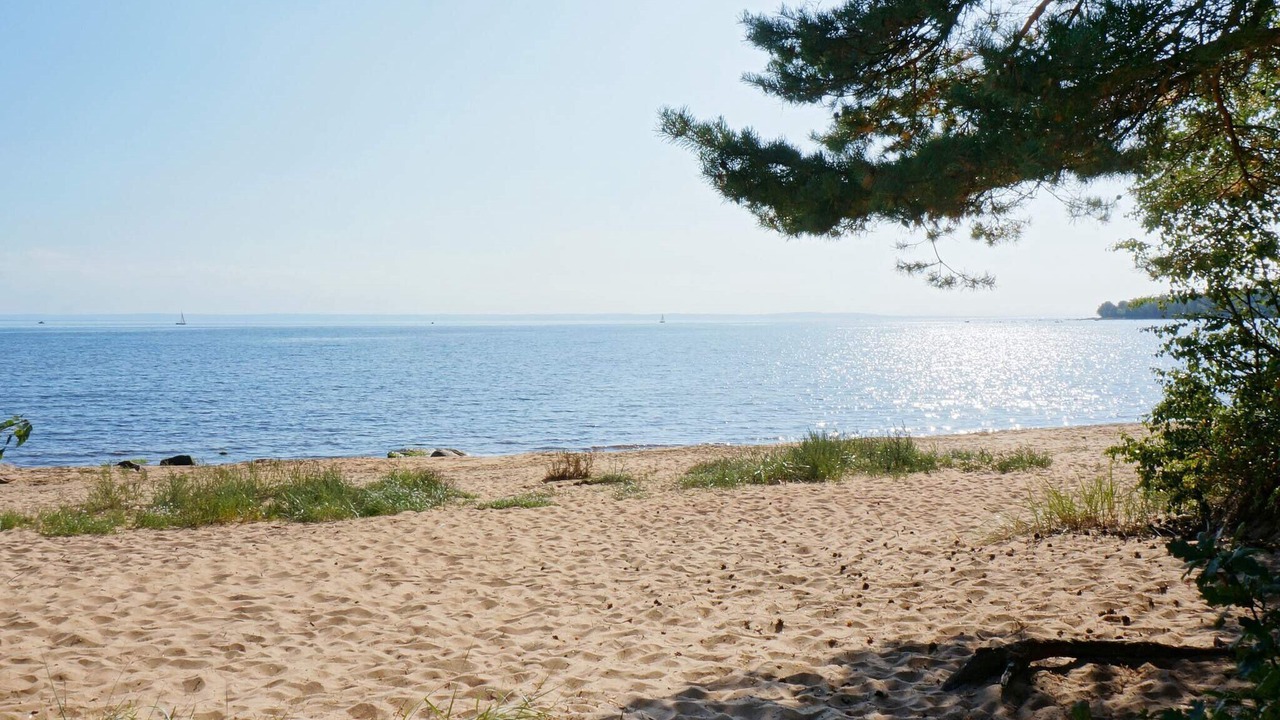 Photo of Others in Halmstad