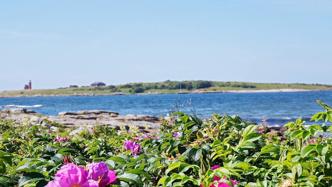 Photo of Others in Halmstad
