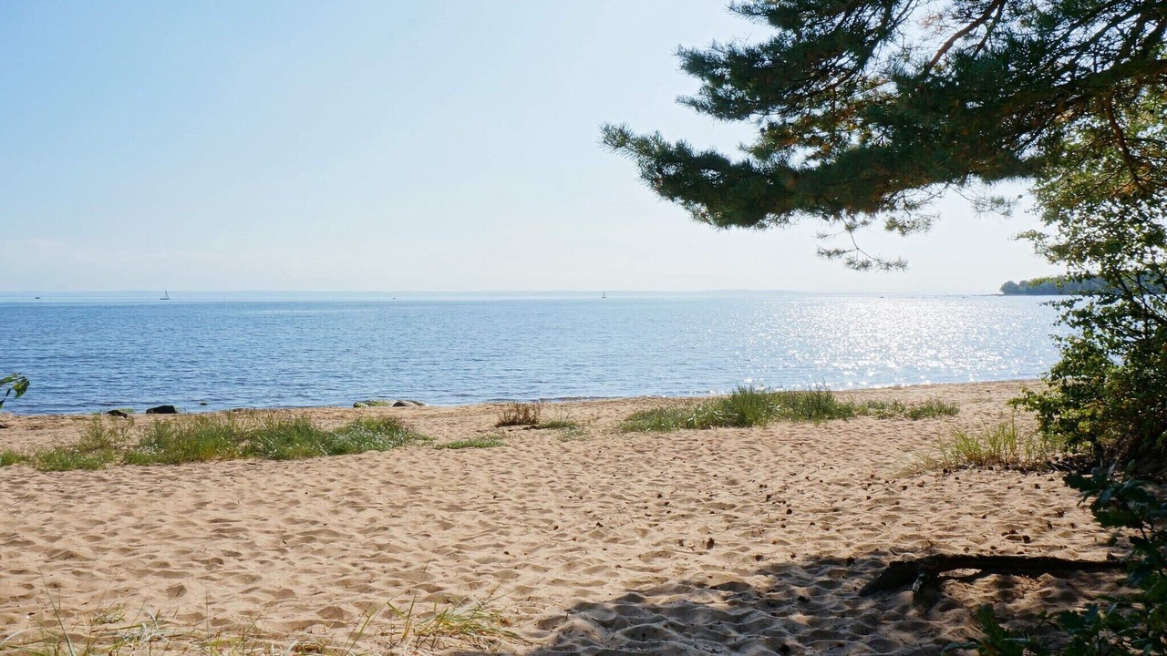 Photo of Others in Halmstad