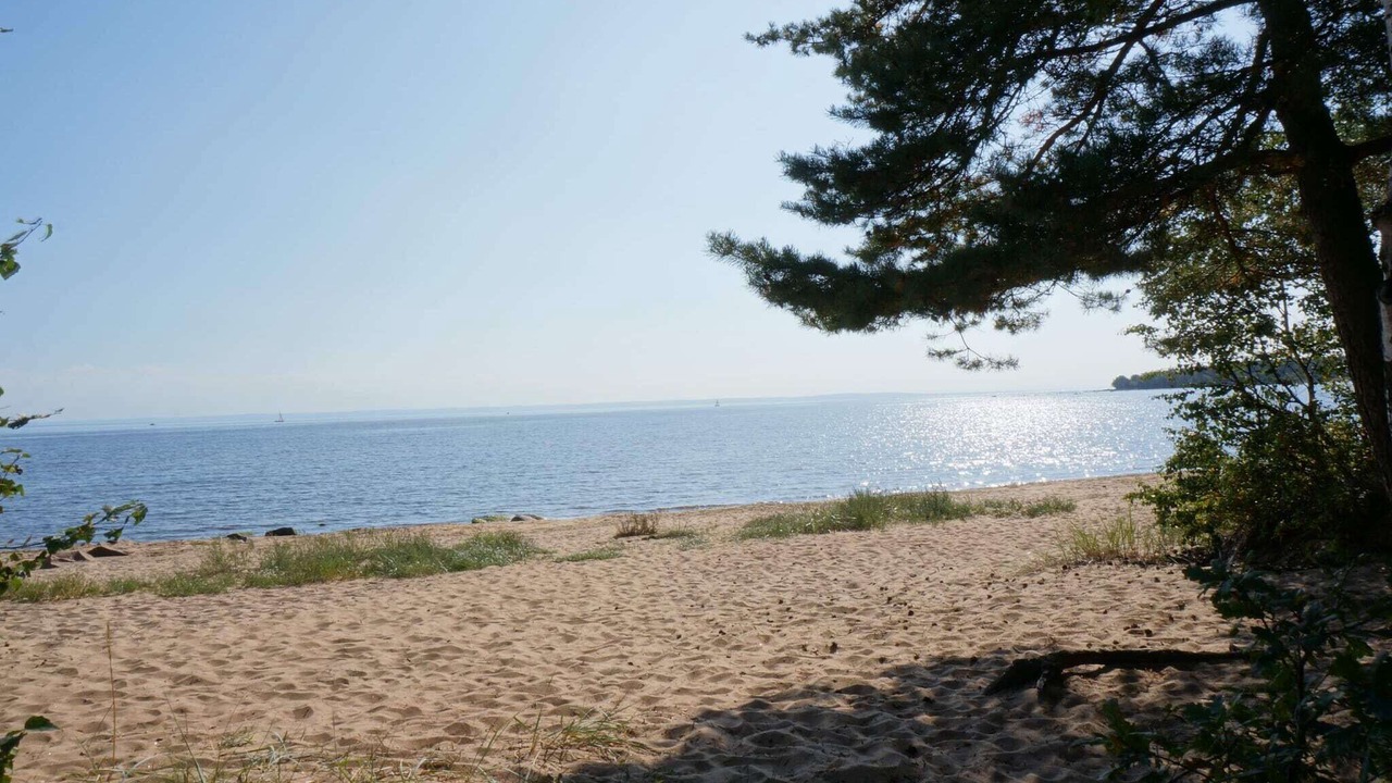 Photo of Others in Halmstad
