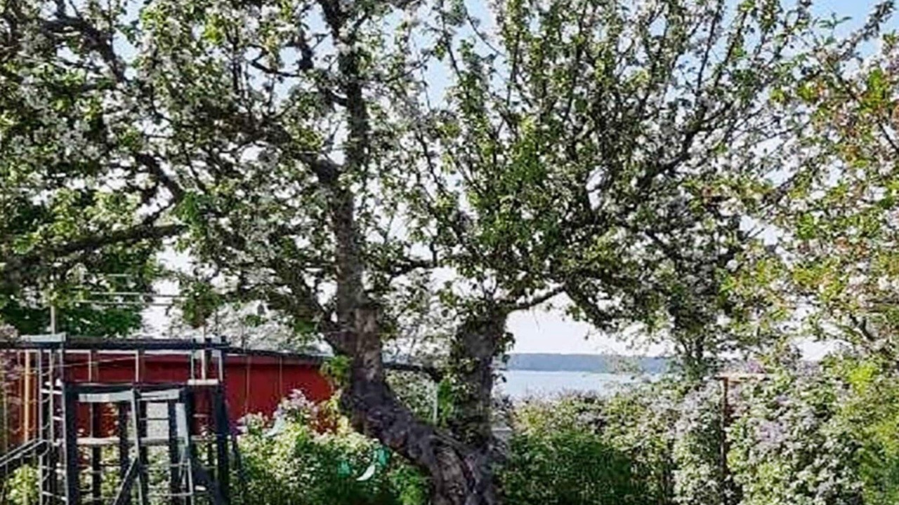 Photo of Outdoor in Mariestad