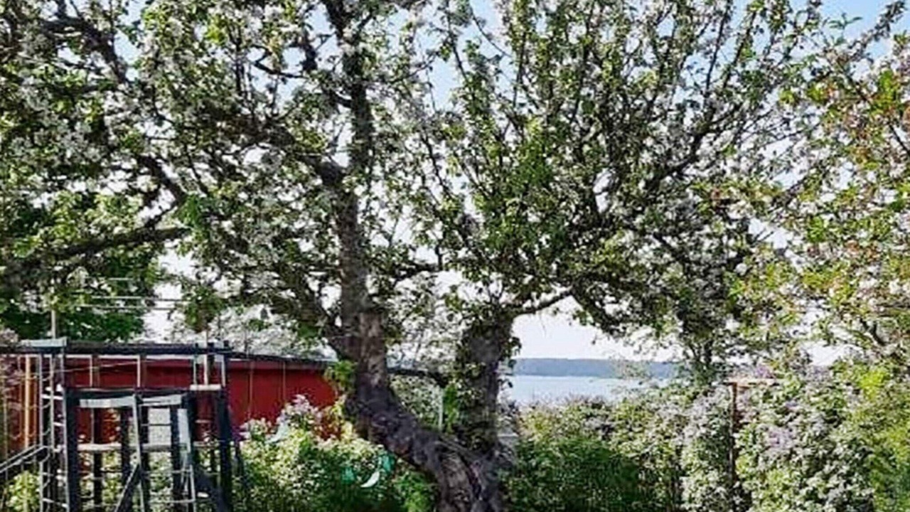 Photo of Outdoor in Mariestad