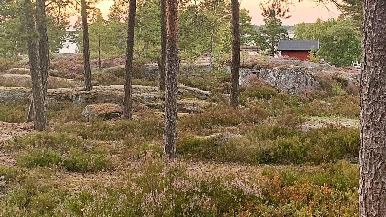 Photo of Outdoor in Moja