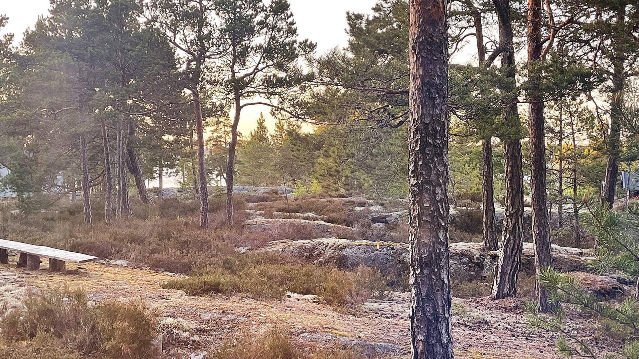 Photo of Outdoor in Moja