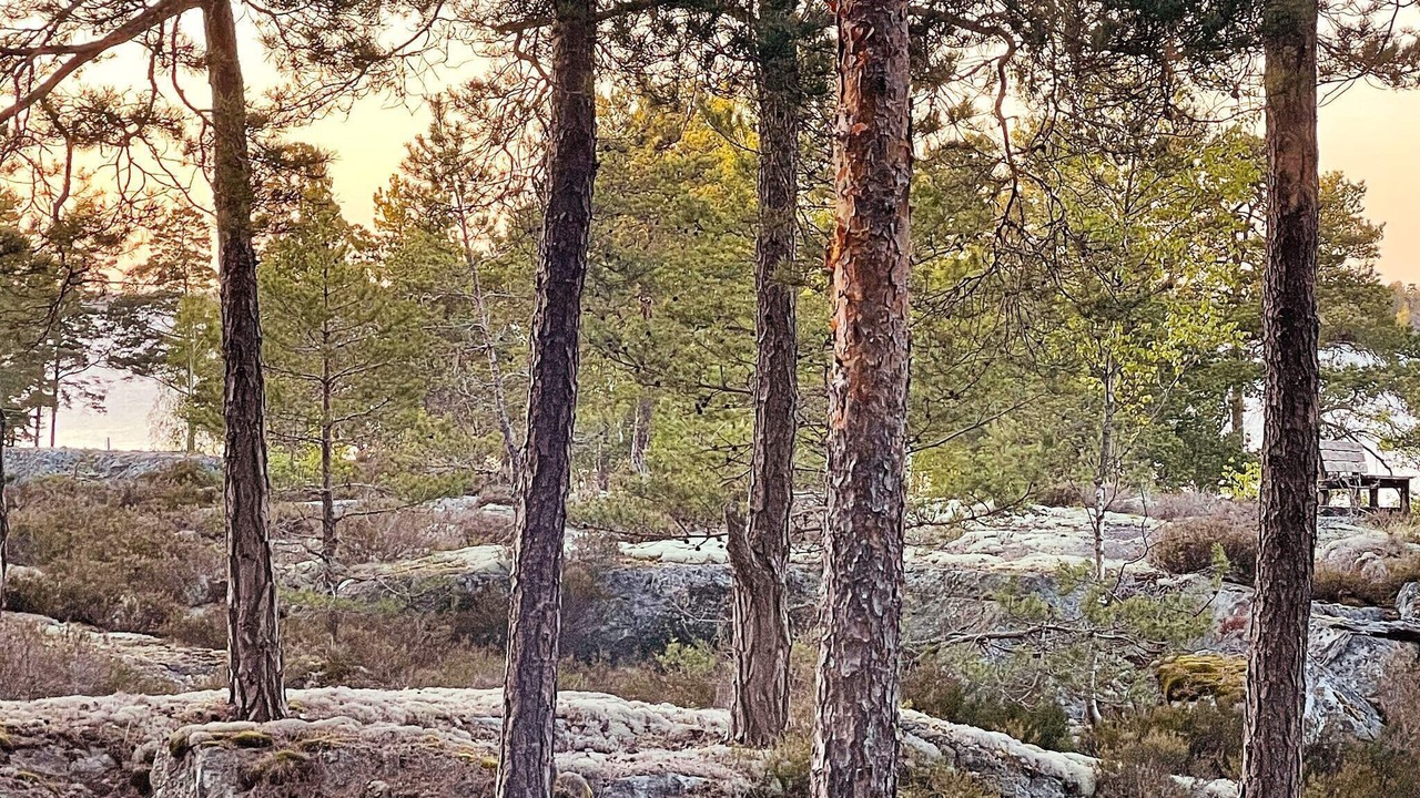 Photo of Outdoor in Moja