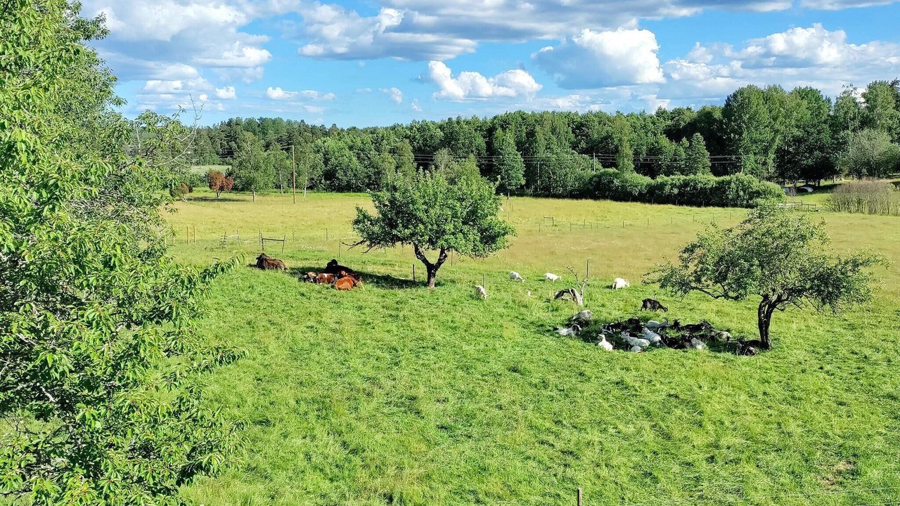 Photo of Others in Nykvarn