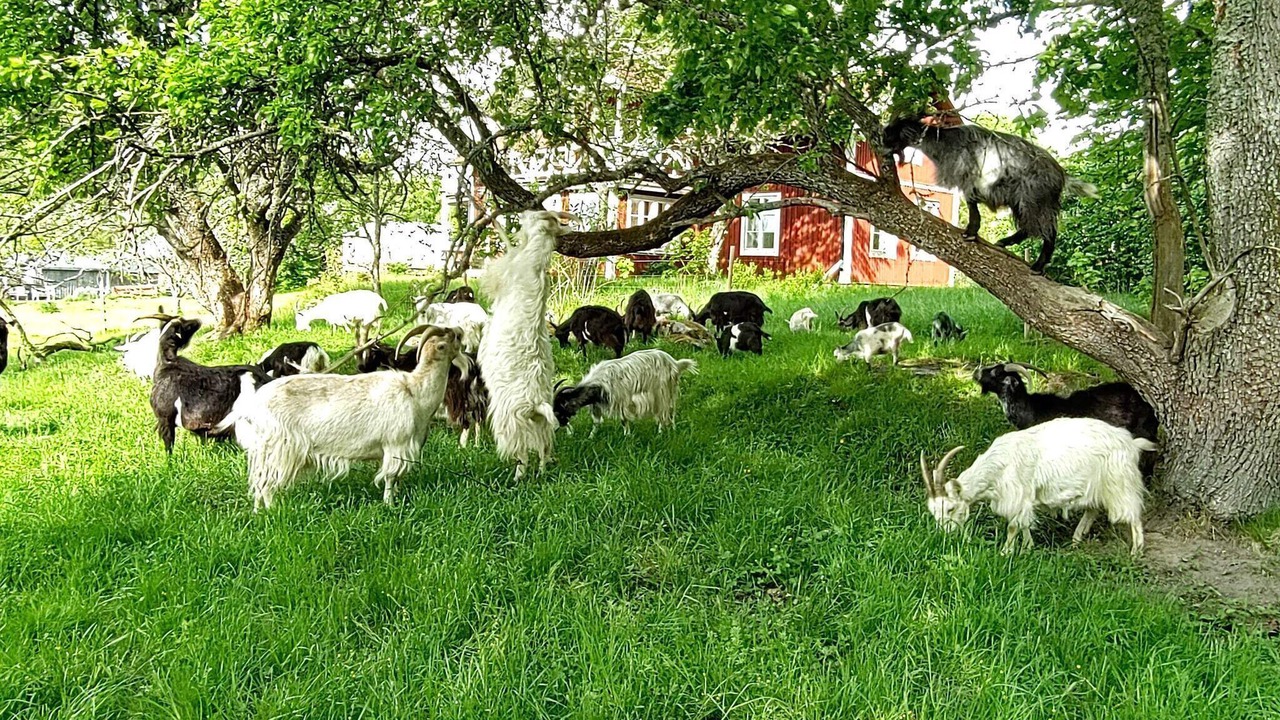 Photo of Others in Nykvarn