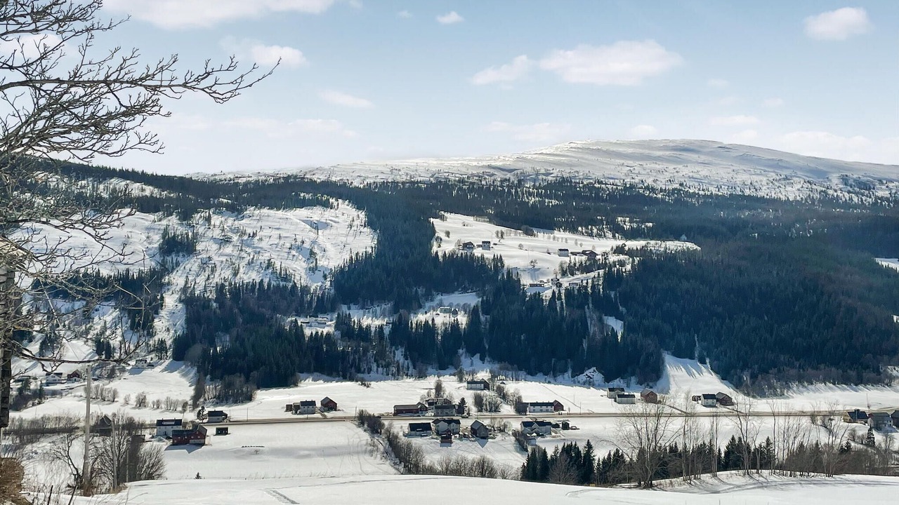 Photo of Others in Holtalen