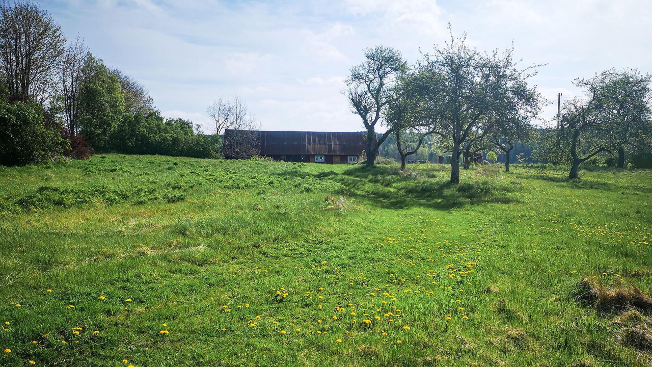 Photo of Bedroom in Berghem