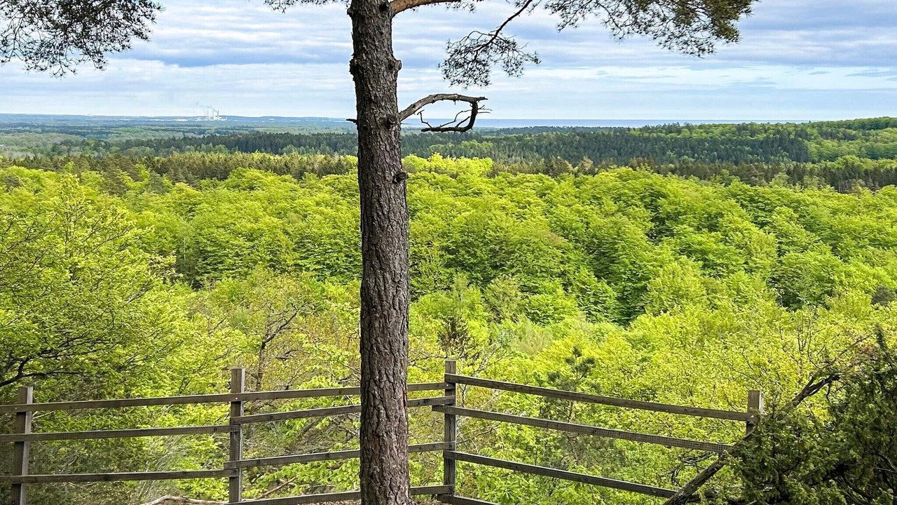 Photo of Outdoor in Solvesborg