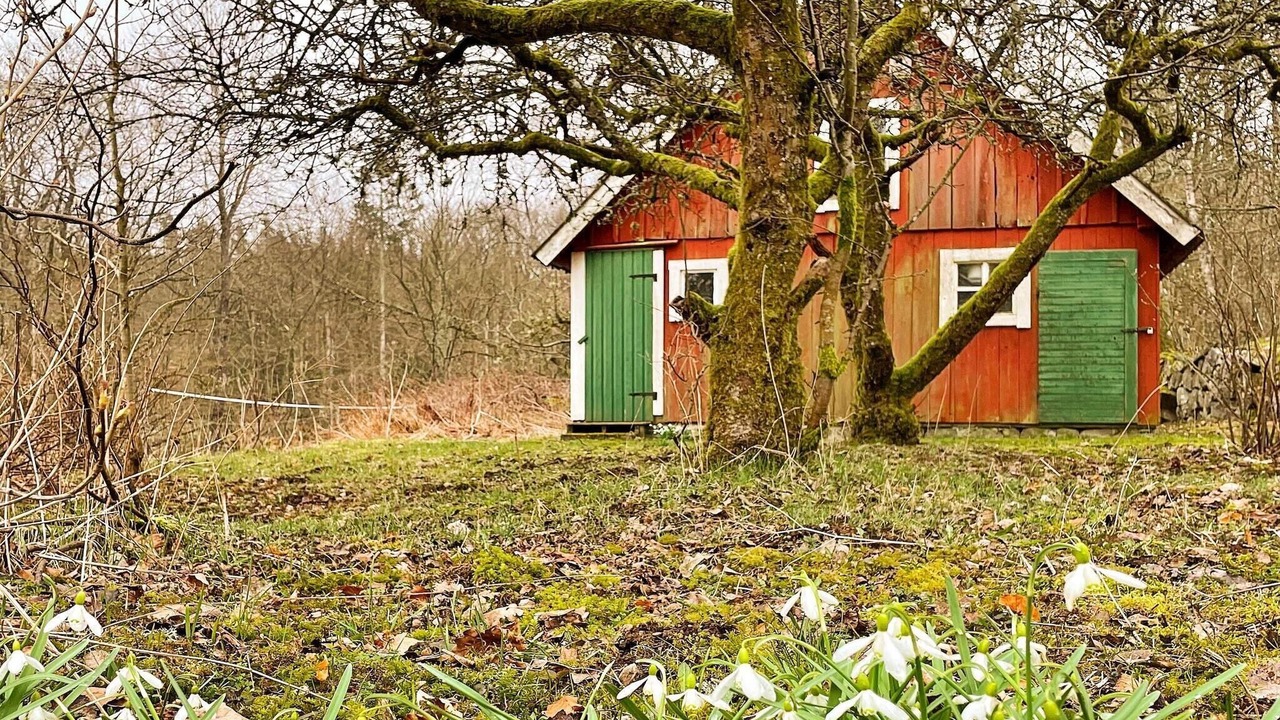Photo of Outdoor in Solvesborg