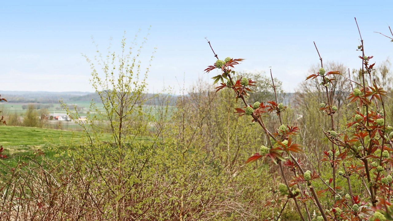 Photo of Outdoor in Grimeton