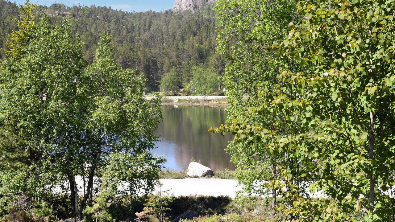 Photo of Bedroom in Nissedal