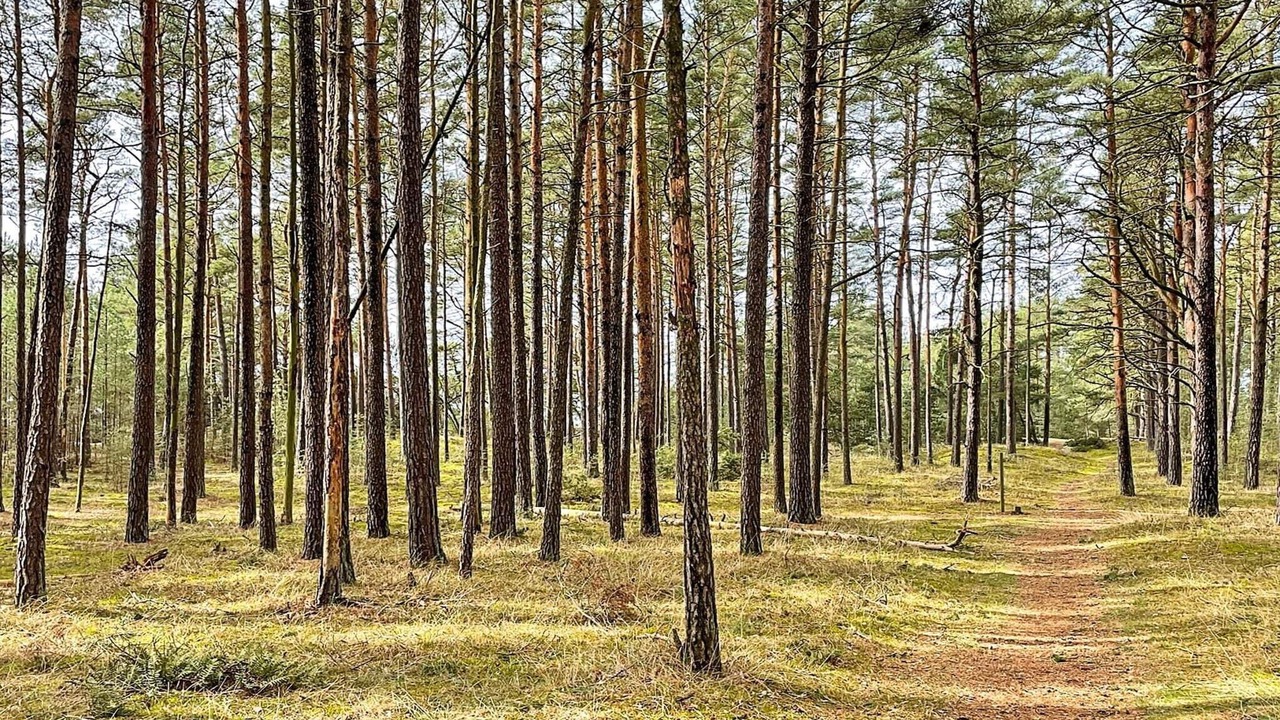 Photo of Others in Brosarp