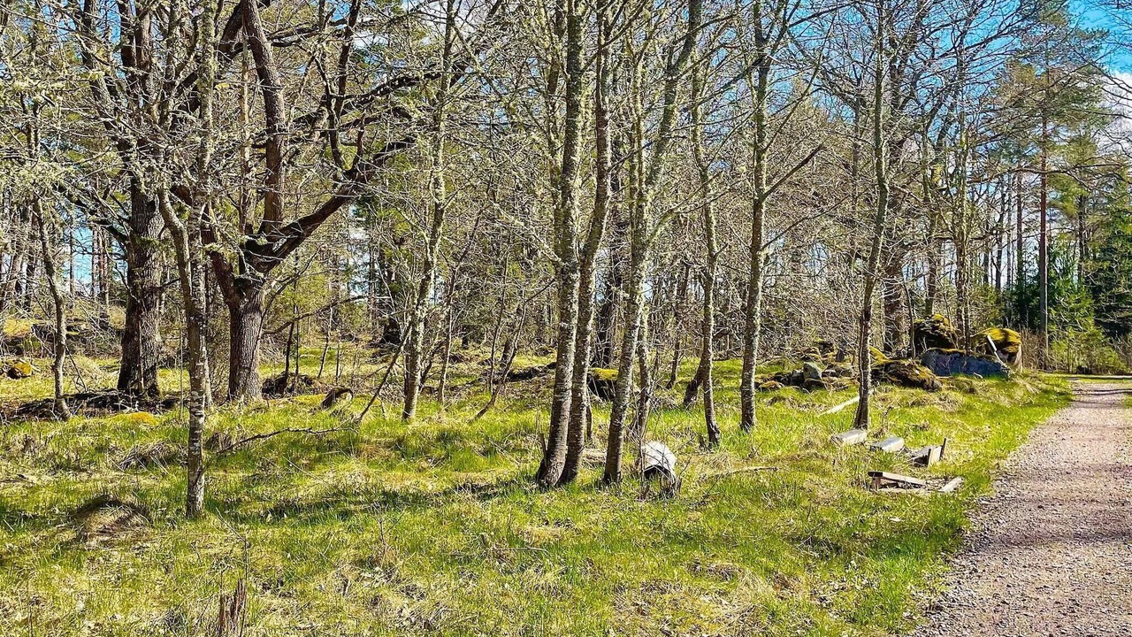 Photo of Others in Morlunda