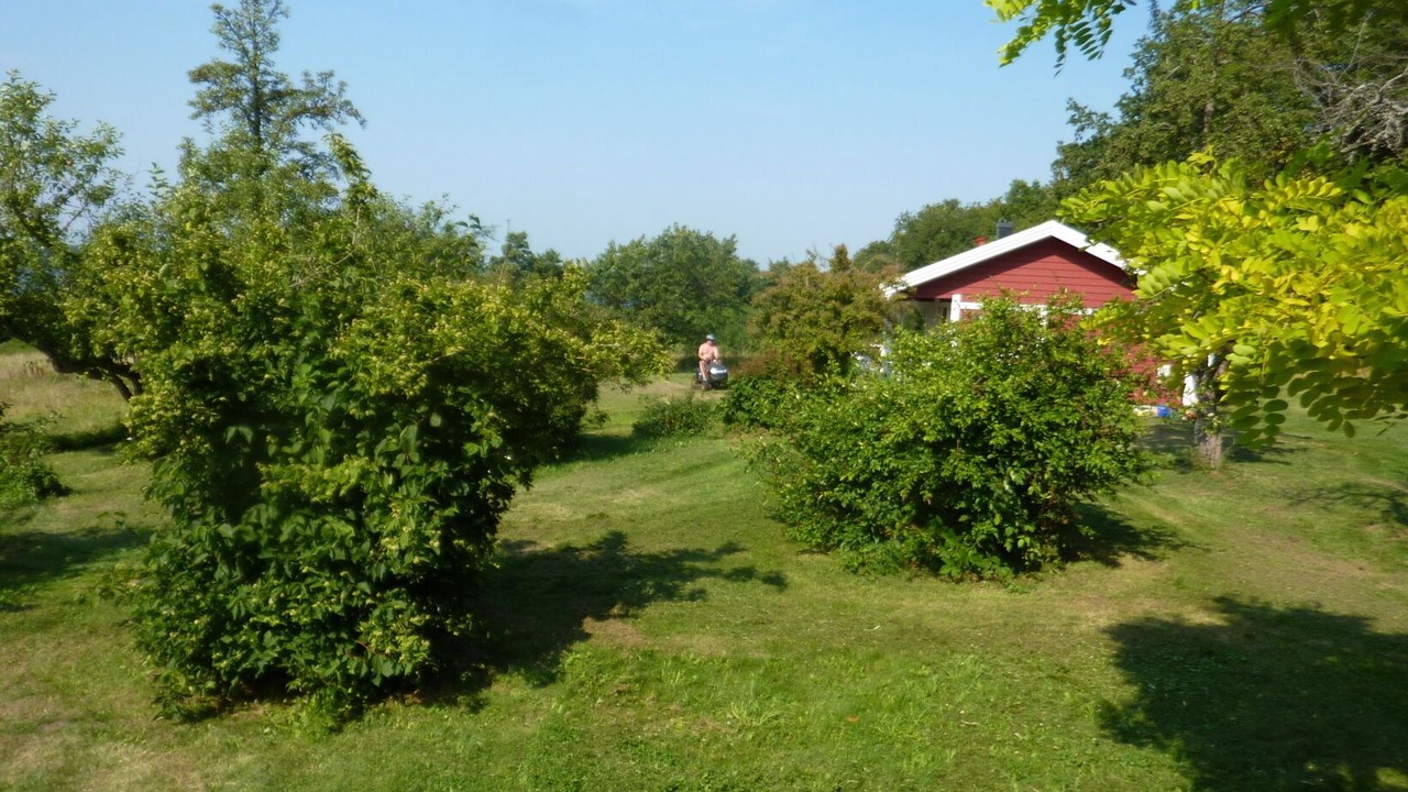 Photo of Outdoor in Jamjo