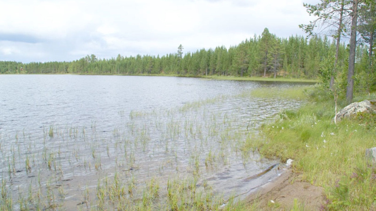 Photo of Others in Arjeplog O