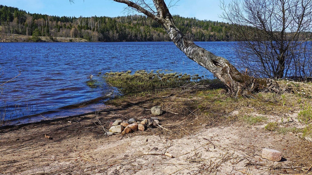 Photo of Others in Hallevadsholm