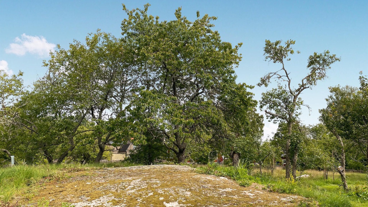 Photo of Others in Vimmerby