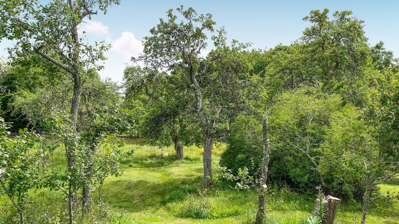 Photo of Others in Vimmerby