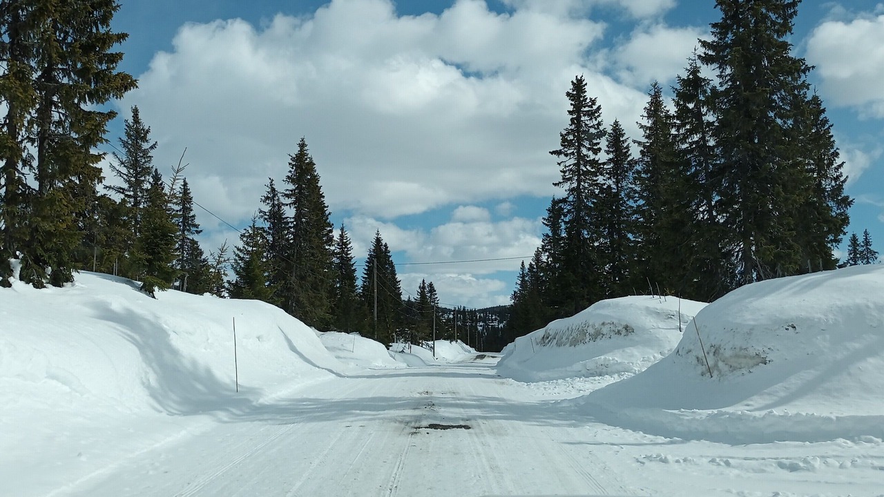 Photo of Others in Sjusjoen