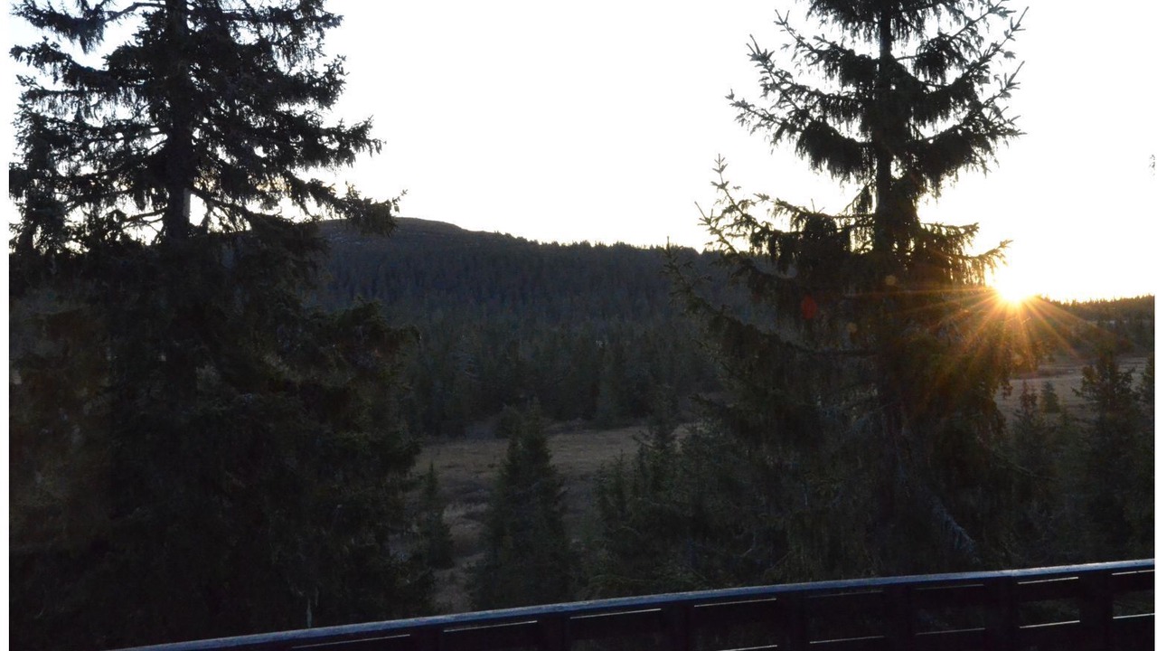 Photo of Patio Balcony in Sjusjoen