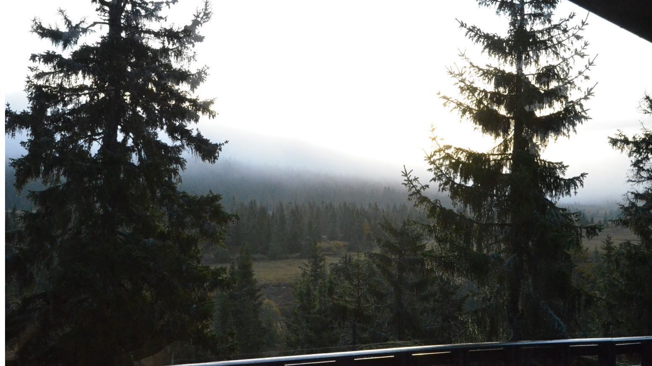 Photo of Patio Balcony in Sjusjoen