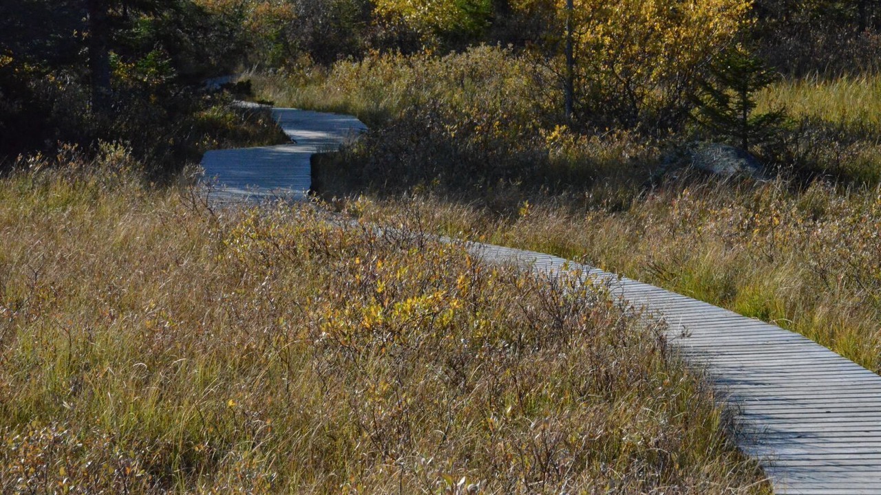 Photo of Outdoor in Sjusjoen