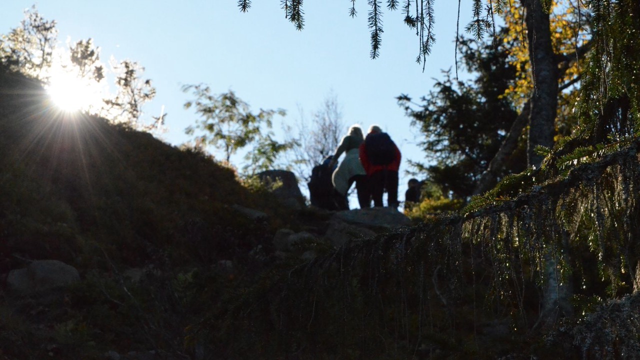 Photo of Others in Sjusjoen