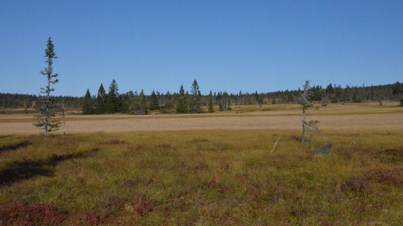 Photo of Others in Sjusjoen