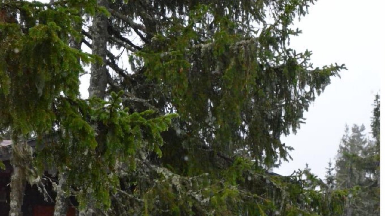 Photo of Outdoor in Sjusjoen