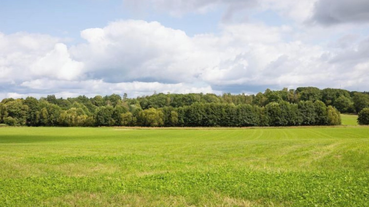 Photo of Others in Arvidstorp