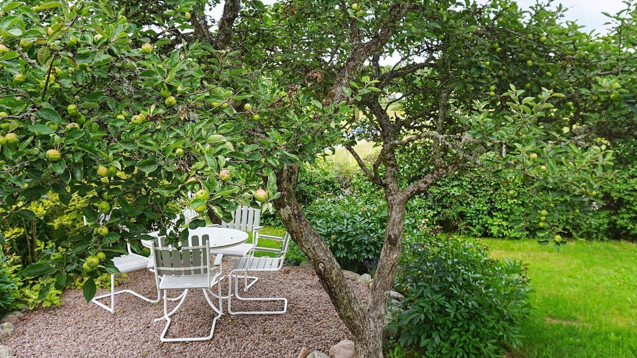 Photo of Outdoor in Brastad