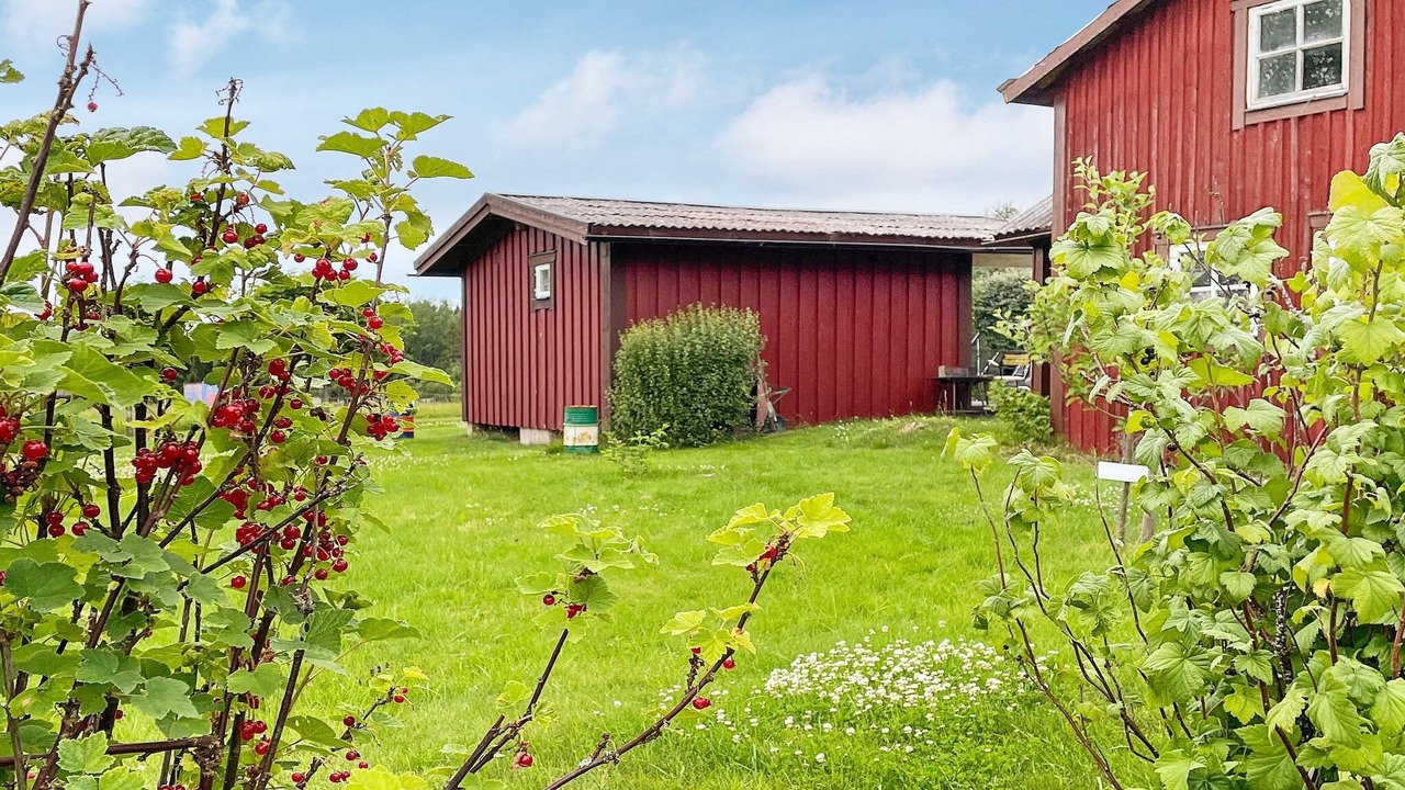 Photo of Outdoor in Kil