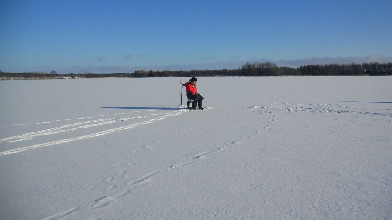 Photo of Others in Mellerud