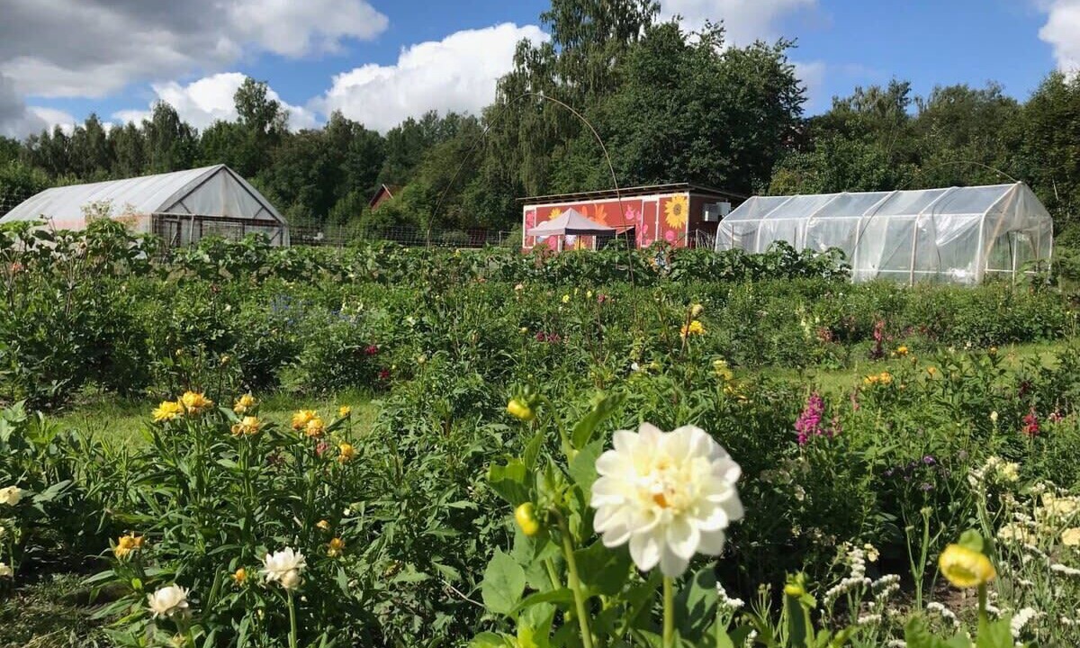 Photo of Outdoor in Ammeberg