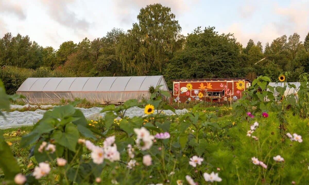 Photo of Outdoor in Ammeberg