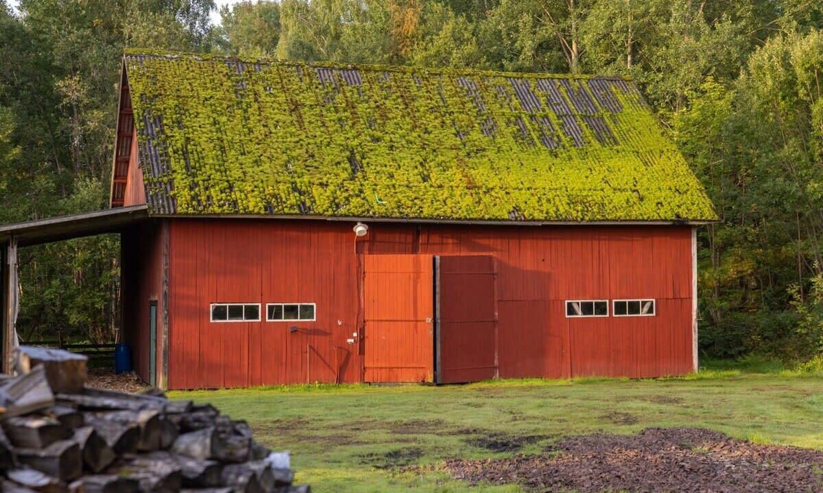Photo of Outdoor in Ammeberg