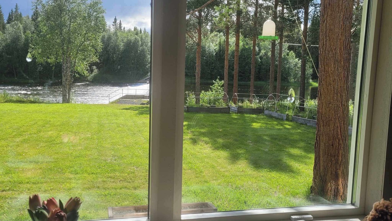 Photo of Others in Ytterhogdal
