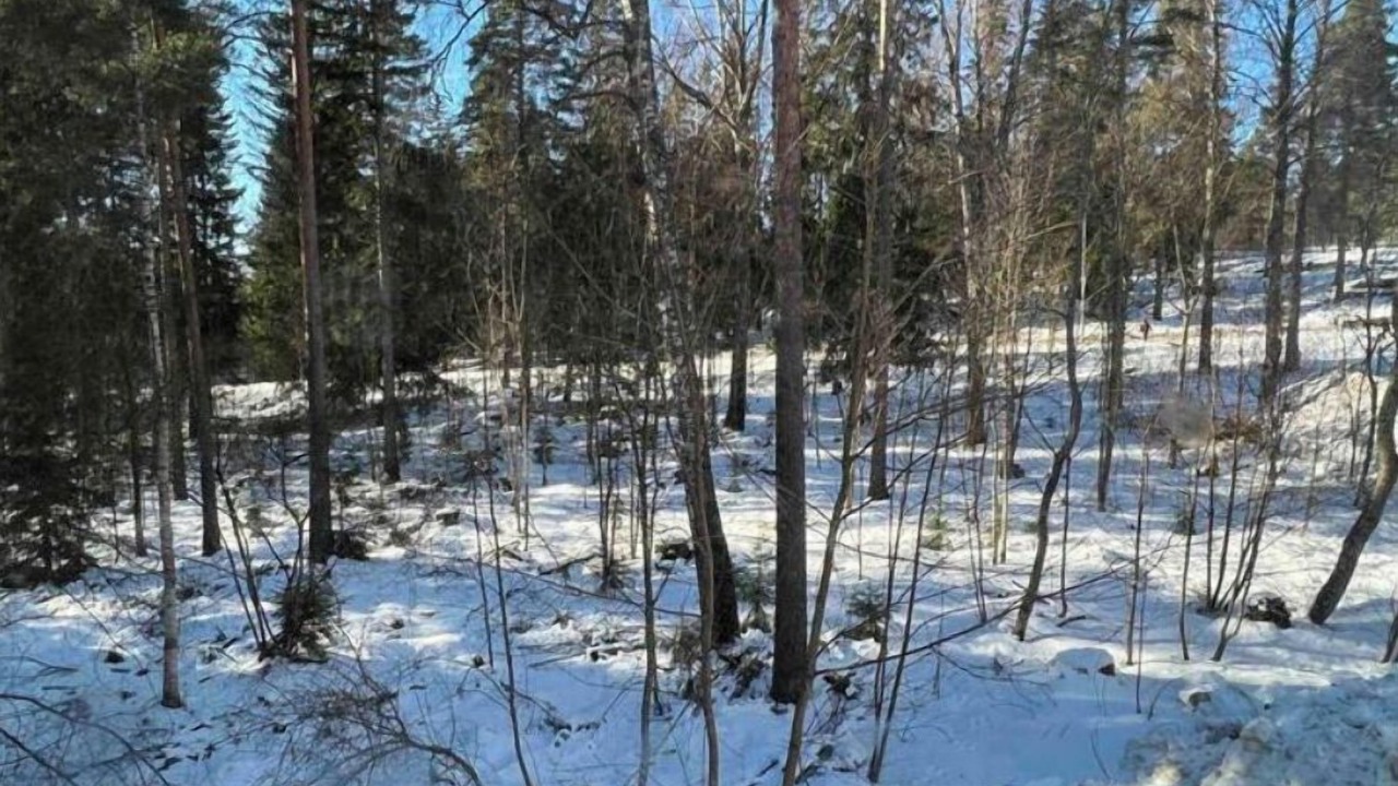 Photo of Others in Leppavaara